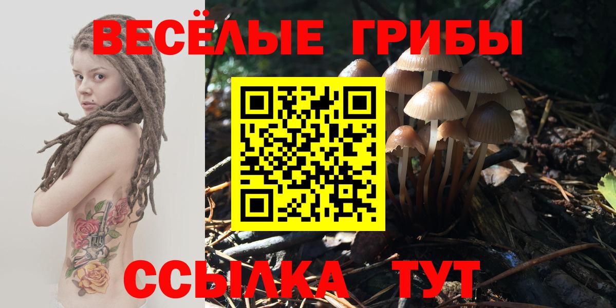 Павловский Посад  Галлюциногенные грибы мухоморы  Вход с VPN 